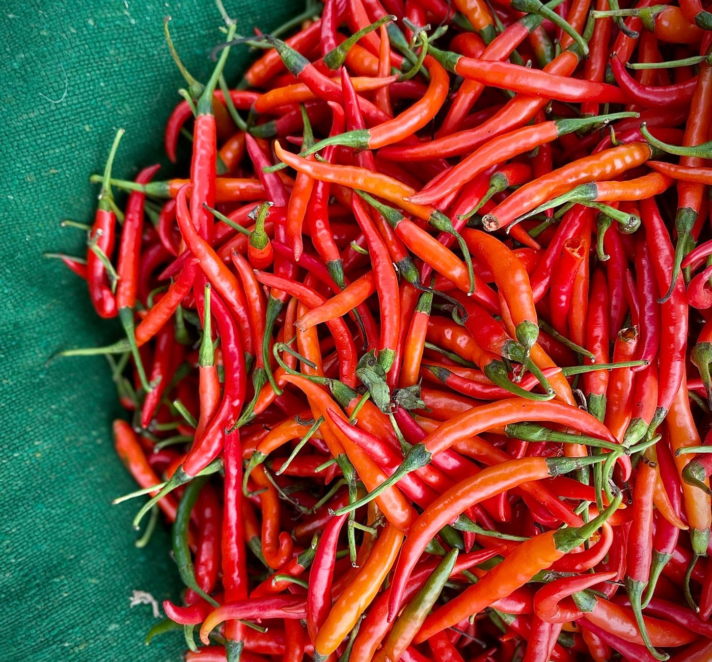 Pikantny olej chili: przepis na dodatek do pierożków i makaronów